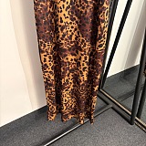 D&G Leopard Print Slip Maxi Dress