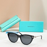 Metal Sunglasses