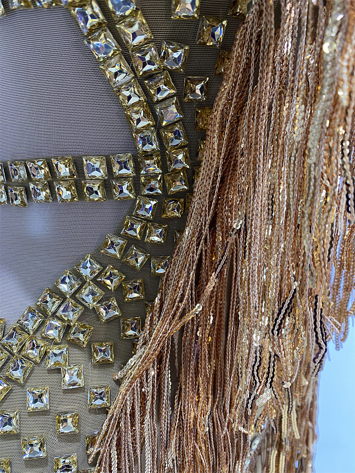 Rhinestone Fringes Luxe Party Dress