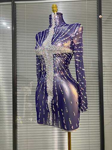 Sheer Stretch Mini Dress