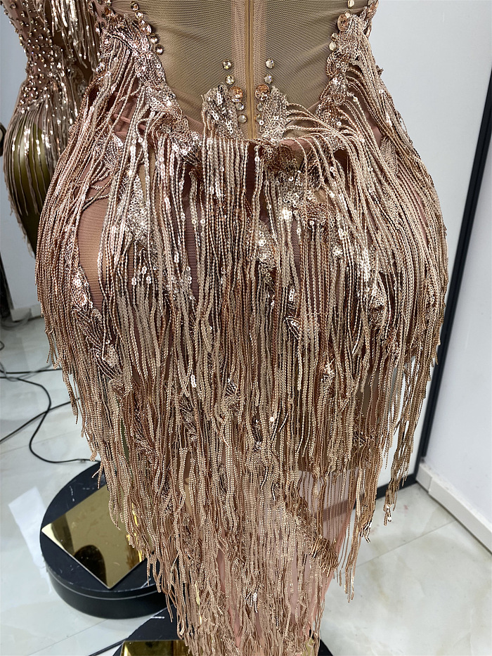 Sheer Stretch Fringes Mini Dress