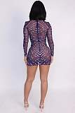 Sheer Stretch Mini Dress