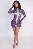Sheer Stretch Mini Dress