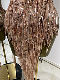 Sheer Stretch Fringes Mini Dress
