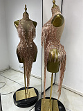 Sheer Stretch Fringes Mini Dress