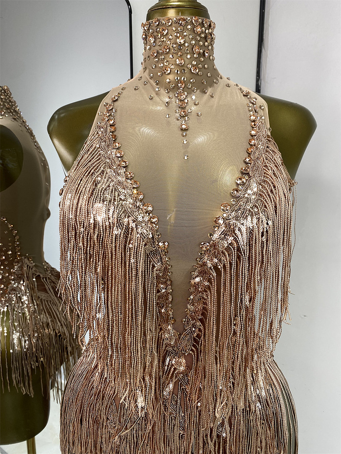 Sheer Stretch Fringes Mini Dress