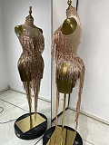 Sheer Stretch Fringes Mini Dress