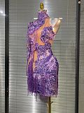 Beaded Printed Fringes Evening Gown