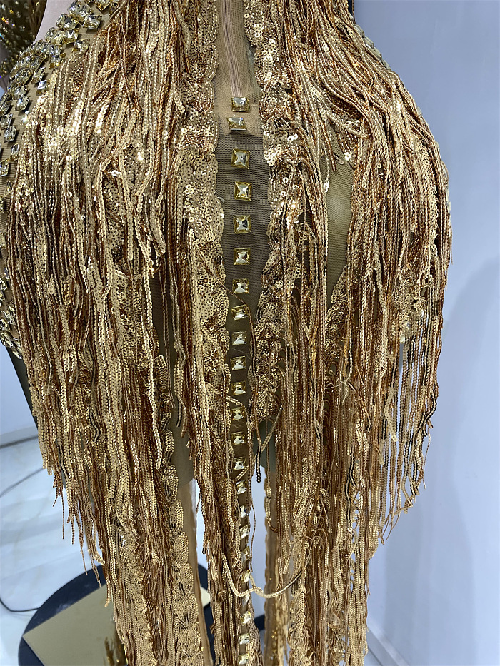 Rhinestone Fringes Luxe Party Dress