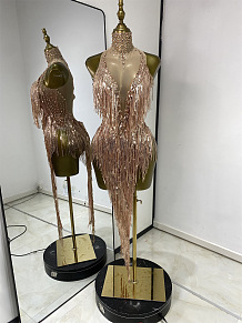 Sheer Stretch Fringes Mini Dress