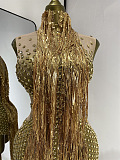 Rhinestone Fringes Luxe Party Dress
