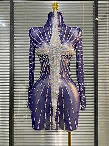 Sheer Stretch Mini Dress