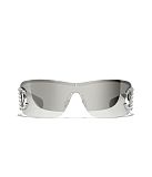 Shield Sunglasses