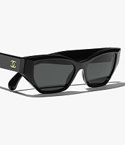 Cat Eyes Sunglasses (CHANEL COCO BEACH 2026 Collection)