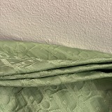 Dior Lightweight Hooded Windbreaker Jacket in Sage Green