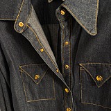 Celine Cotton Shirt in Denim Blue