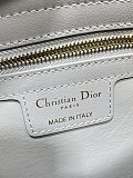Dior Cigale Bag in Grey