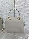 Dior Cigale Bag in Grey