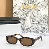 Dior Oblique B1I Butterfly Sunglasses