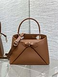 Dior Cigale Bag in Camel