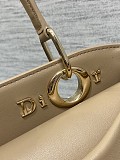 Dior Cigale Bag in Beige