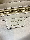 Dior Cigale Bag in Beige