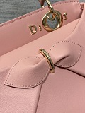 Dior Cigale Bag in Pink
