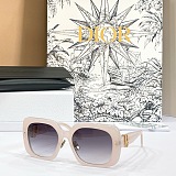 Dior Oblique S1F Light Gray and Deep Gray Square Sunglasses