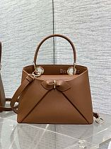 Dior Cigale Bag in Camel