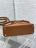 Dior Cigale Bag in Camel