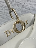 Dior Cigale Bag in Grey
