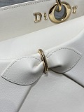 Dior Cigale Bag in White