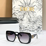 Dior Oblique S1F Light Gray and Deep Gray Square Sunglasses