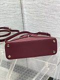 Dior Cigale Bag in Burgundy