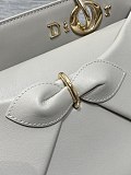 Dior Cigale Bag in Grey