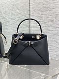 Dior Cigale Bag in Black
