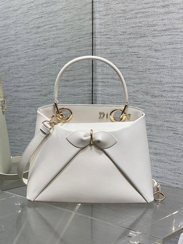 Dior Cigale Bag in White