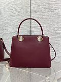 Dior Cigale Bag in Burgundy