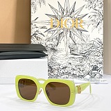 Dior Oblique S1F Light Gray and Deep Gray Square Sunglasses