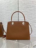 Dior Cigale Bag in Camel