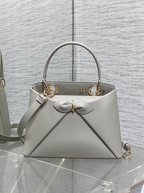 Dior Cigale Bag in Grey