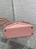 Dior Cigale Bag in Pink