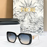 Dior Oblique S1F Light Gray and Deep Gray Square Sunglasses