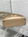 Dior Cigale Bag in Beige