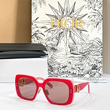 Dior Oblique S1F Light Gray and Deep Gray Square Sunglasses
