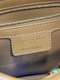 Dior Cigale Bag in Camel