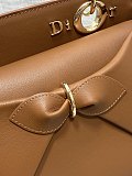 Dior Cigale Bag in Camel