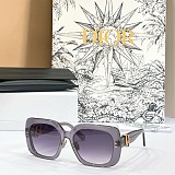 Dior Oblique S1F Light Gray and Deep Gray Square Sunglasses