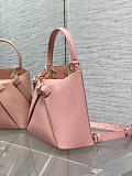 Dior Cigale Bag in Pink