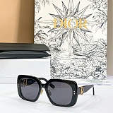 Dior Oblique S1F Light Gray and Deep Gray Square Sunglasses